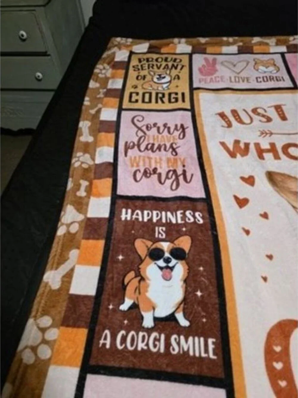 The Unbranded Brand who throw dog